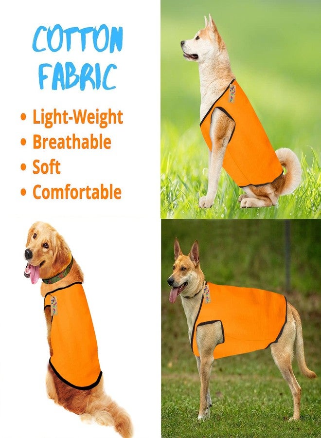Western Era Soft Summer Cotton Dog/Puppy Adorable T-Shirt | Comfortable & Breathable Dog Clothing | Fashionable & Sleeveless Vest Outfit for Your Pet (Large- 22 inch, Bright Yellow) - Image 3